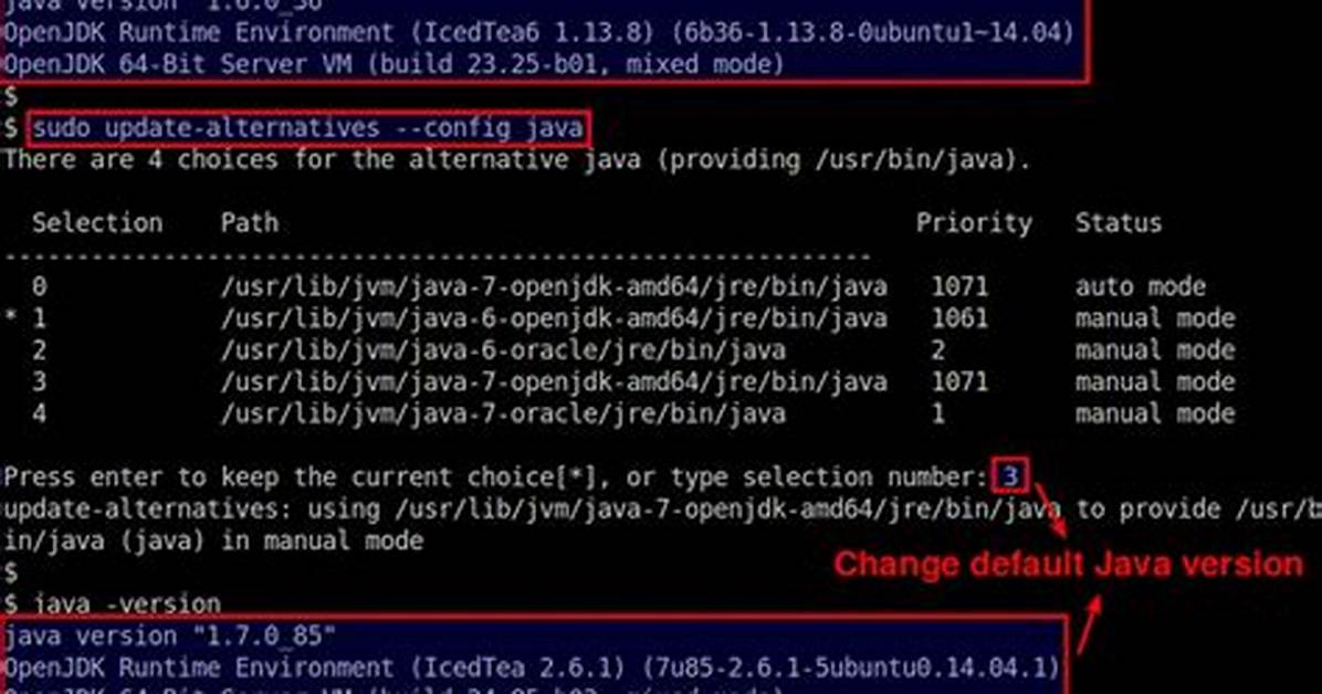 How to Check Java Version at Linux (Redhat6)