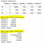 How to Convert a Data Frame Column to Numeric Type?