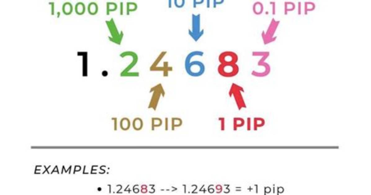 How to Count Pips?