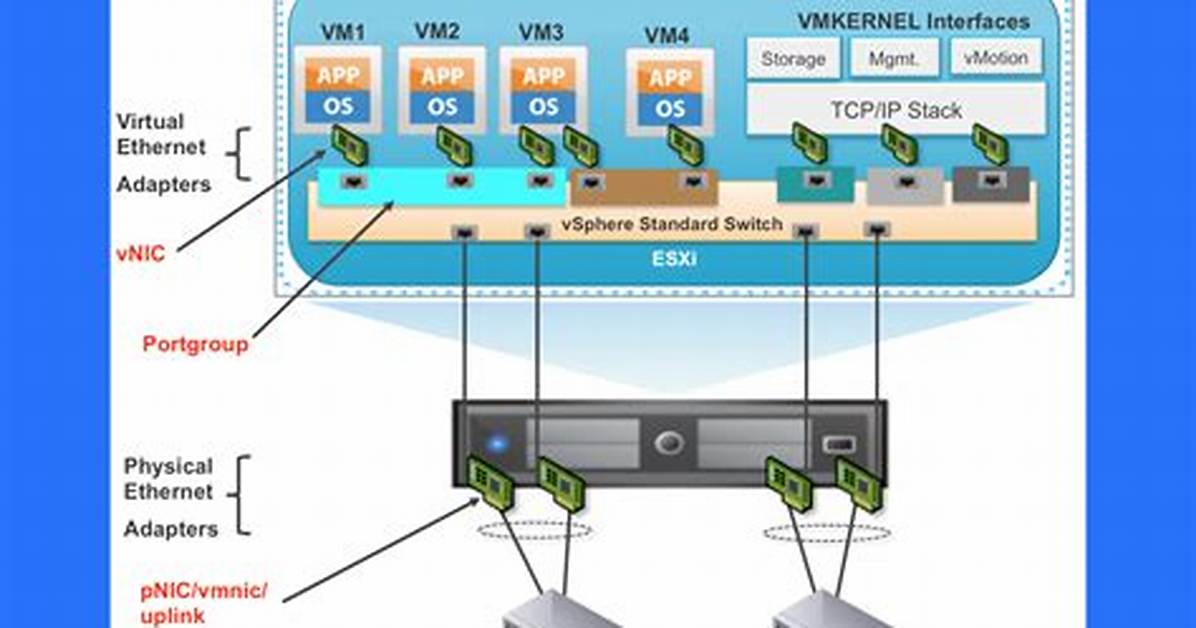 How to Create a Virtual Network Interface in Ubuntu?