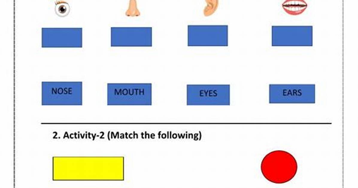 How to Create Interactive Worksheets