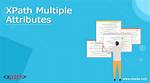 How to Create Xpath with Multiple Attributes