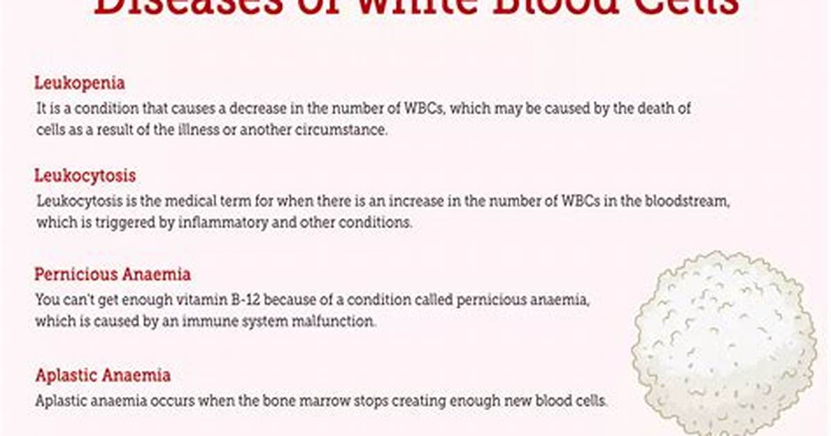 How to Decrease White Blood Cells with Food