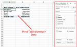 How to Delete Pivot Table?