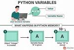 How to Determine a Python Variable's Type?