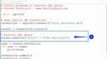 How to Directly Execute Sql Query in C#?