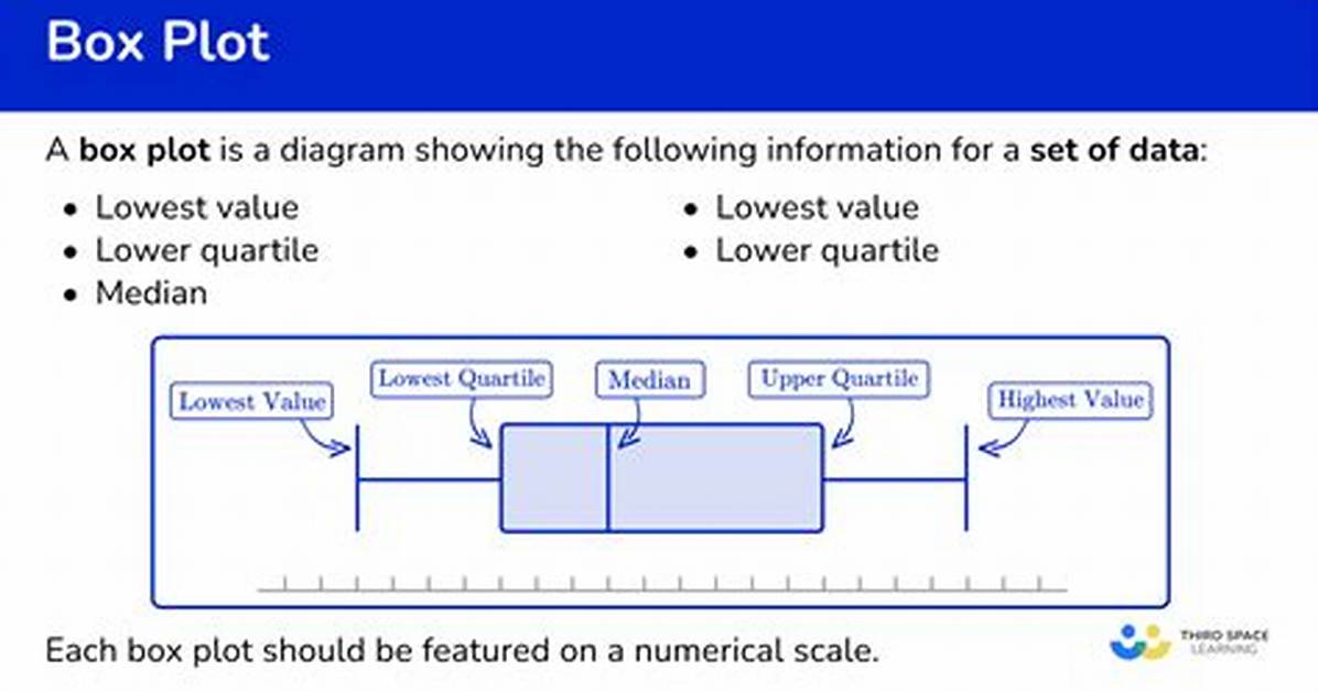 How to Do a Box Plot