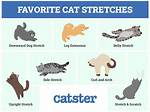 How to Do a Cat Stretch, Aka Yoga's Easiest Backbend