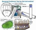 How to Do Endotoxin Test?