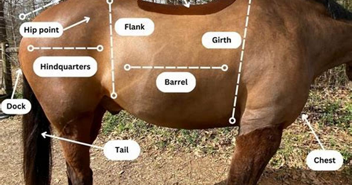 How to Do Flanks?