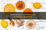 【How-To】Does Ginger Burn Belly Fat