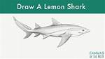 How to Draw a Lemon Shark