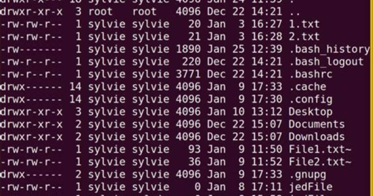 How to Execute a Command in Linux?