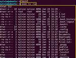How to Execute a Command in Linux?