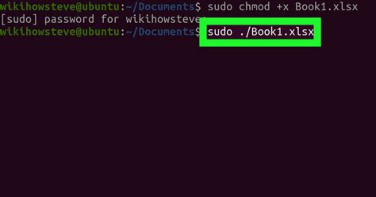 How to Execute File in Linux?