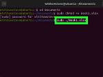 How to Execute File in Linux?