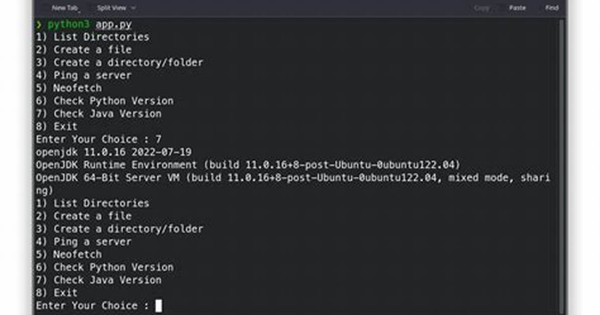 How to Execute Python File in Linux