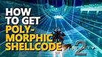 How to Get Polymorphic Shellcode in Destiny 2