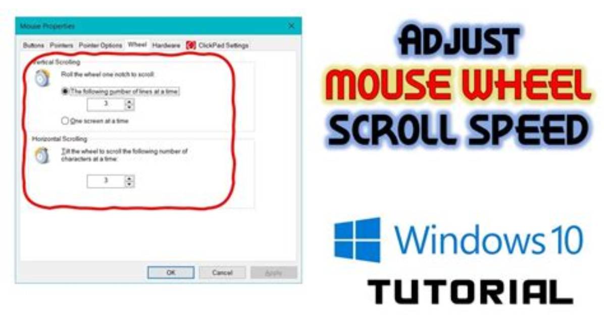 How to Increase Mouse Scroll Speed - Explained for Begginers?