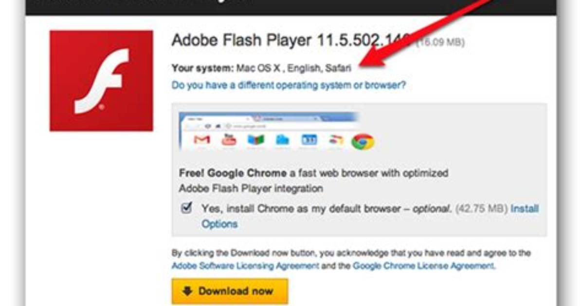 How to Install Adobe Flash and Java? [Duplicate]