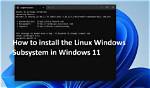 How to Install Windows on Linux?