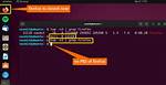 How to Kill Firefox from Command Line