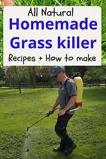 How to Kill Grass