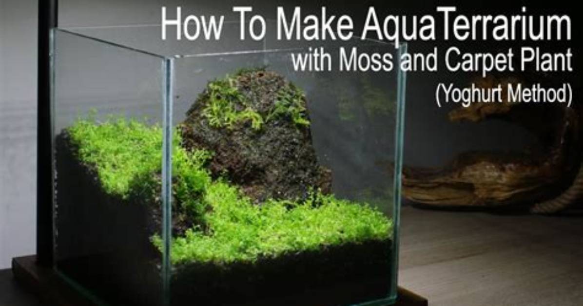 How to Make Java Moss Green?