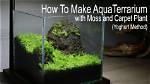 How to Make Java Moss Green?