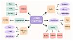 How to Mind Map?
