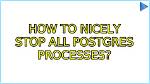 How to Nicely Stop All Postgres Processes