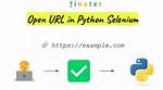 How to Open a Url in Python