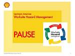 How to Pause the Shell?