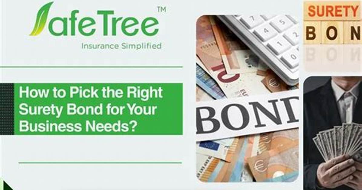 How to Pick the Right Bond Builder for You