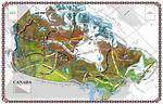 How to Play Ticket to Ride Canada | Official Rules