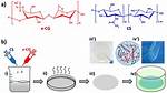 How to Prepare Lactide?