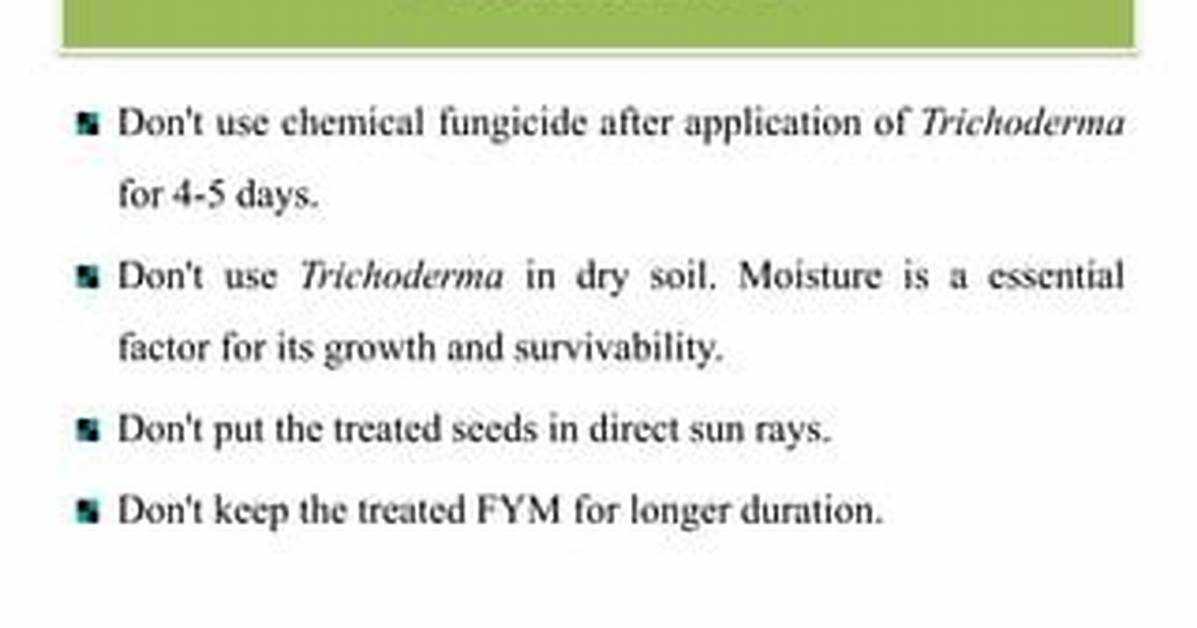 How to Prevent Trichoderma?