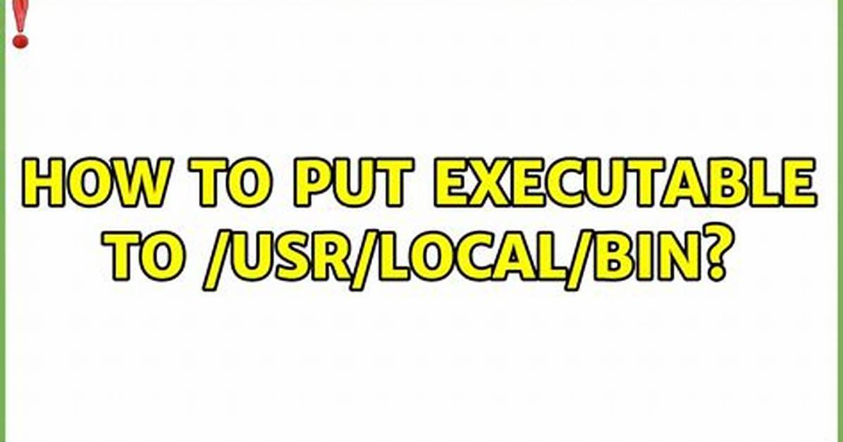 How to Put Executable to /Usr/Local/Bin? [Duplicate]