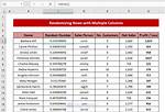 How to Randomize Excel Rows