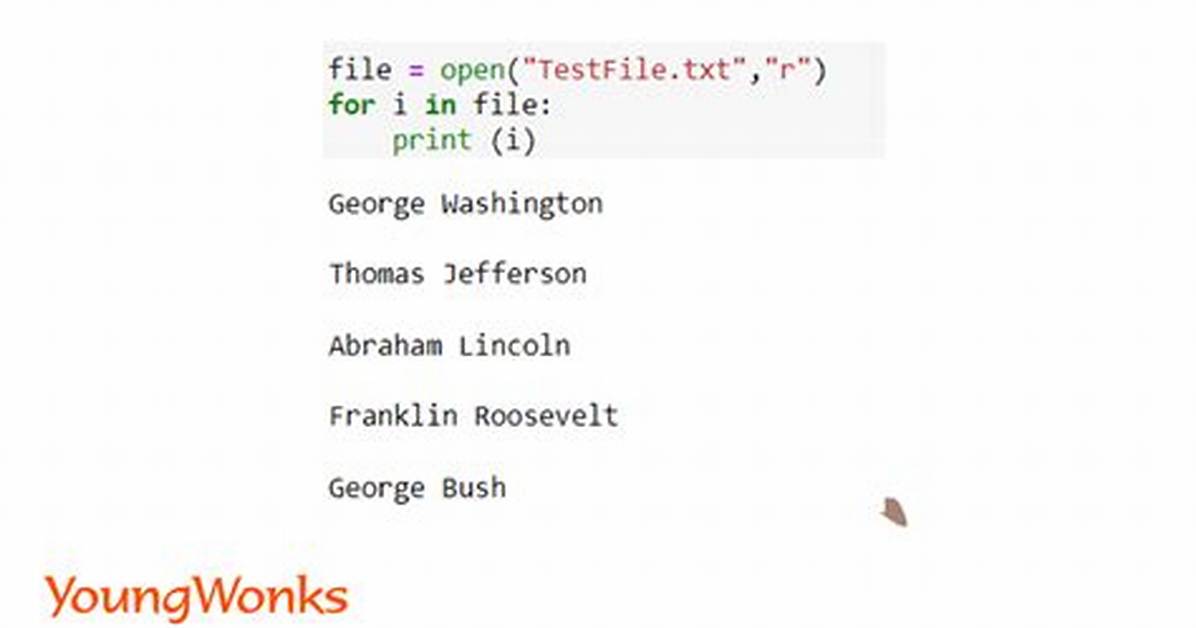 How to Read an Image in Python Opencv