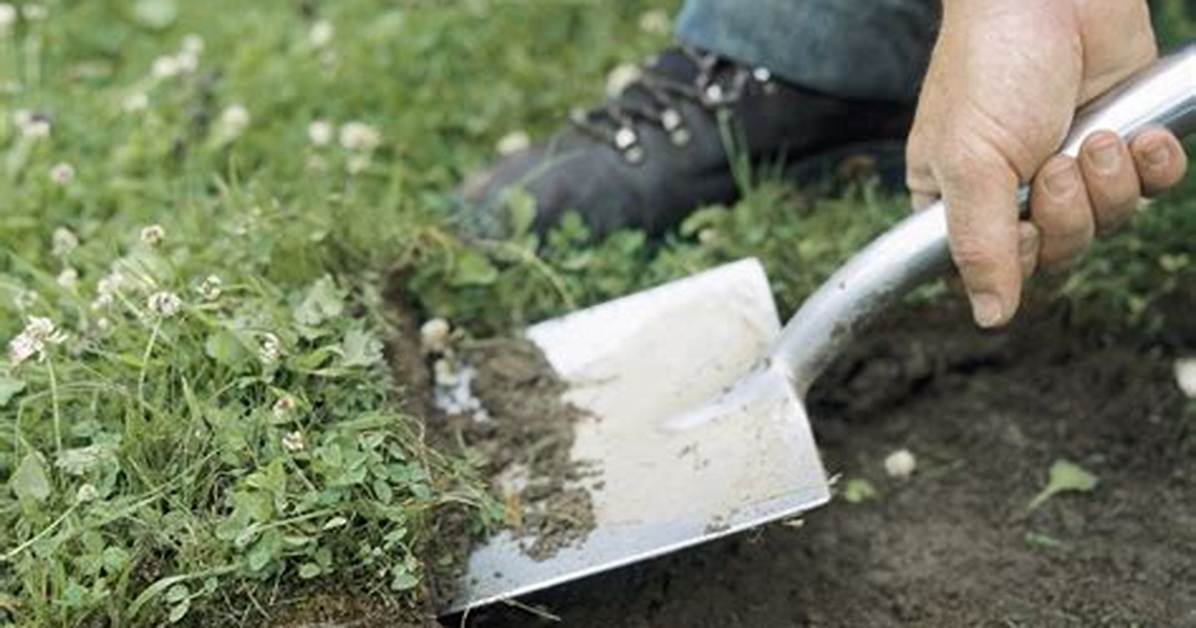 How to Remove Grass