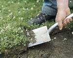 How to Remove Grass