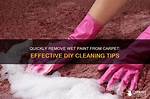 How to Remove Wet Paint from Carpet