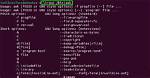 How to Run Binary File in Linux