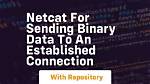 How to Send Binary Data in Netcat to an Already Established Connection?