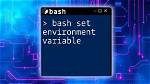 How to Set Bash Environment Variable Based on Bash Command