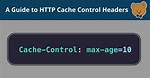 How to Set Http Headers (For Cache-Control)?