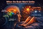 How to Settle the Brain?