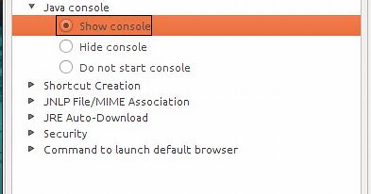How to Show Java Plugin Console