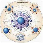 How to Spell Nucleating?